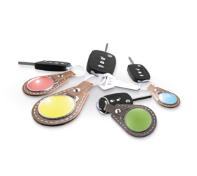 Automotive icoon